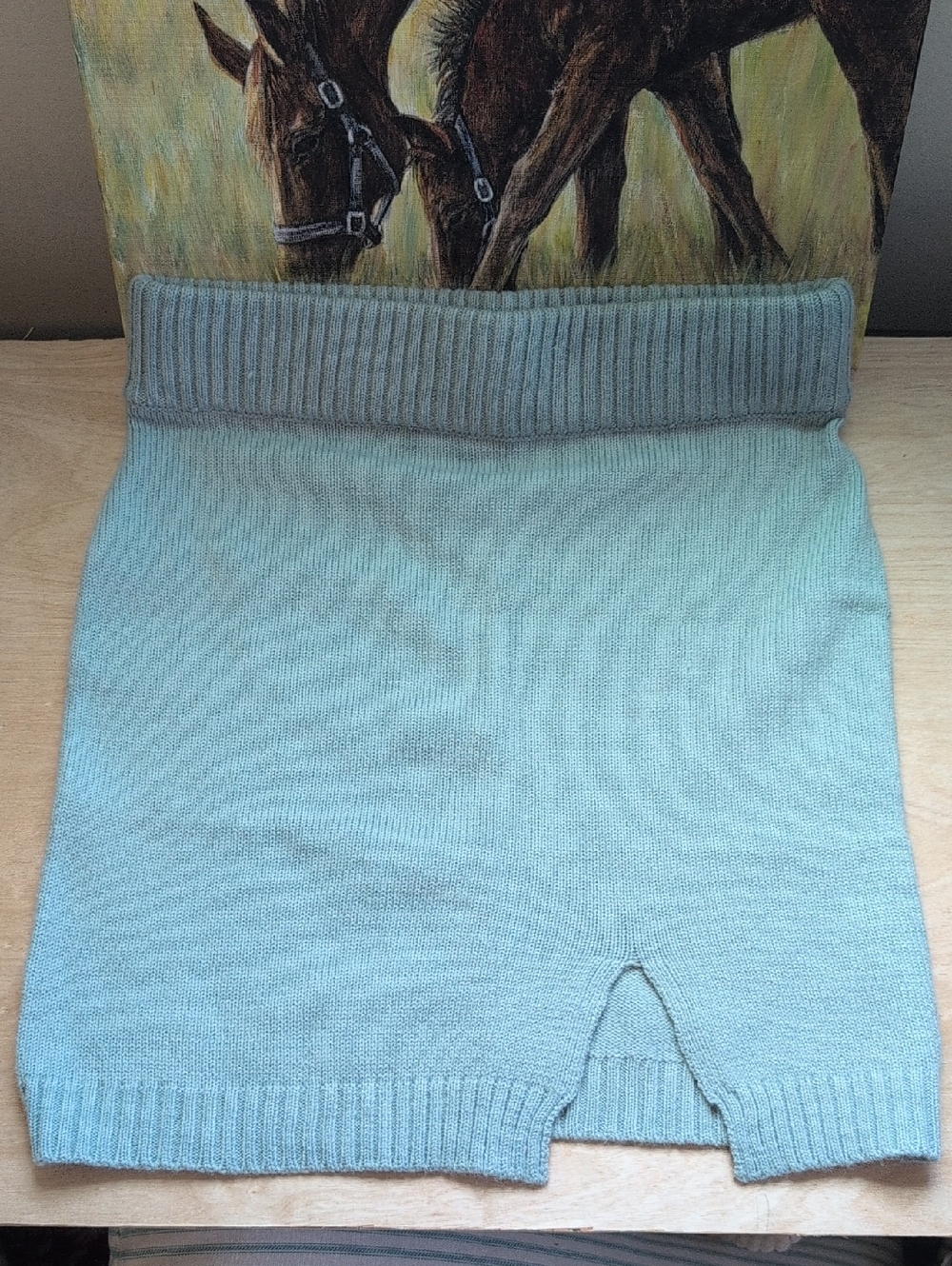 MABLE Aqua Green Knit Skirt Mini Skirt Knit XS